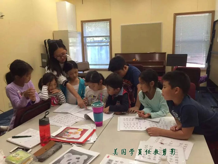 美国对外汉语教师